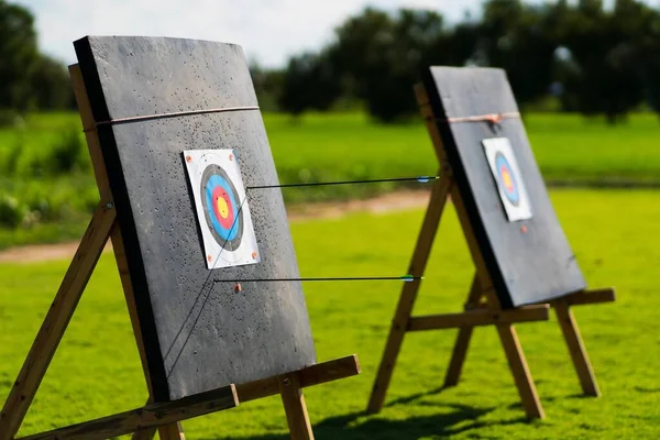 Colored Target Board Arrows Archery Target Background Foto Stock