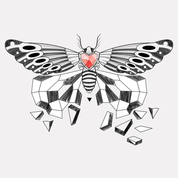 Isolierte Illustrationsskizze Des Schmetterlings — Stockfoto