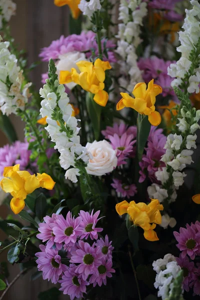 春の季節を花します。 — ストック写真