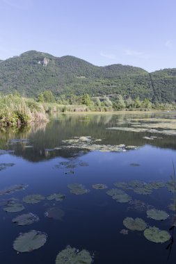 İlkbaharda göl manzara