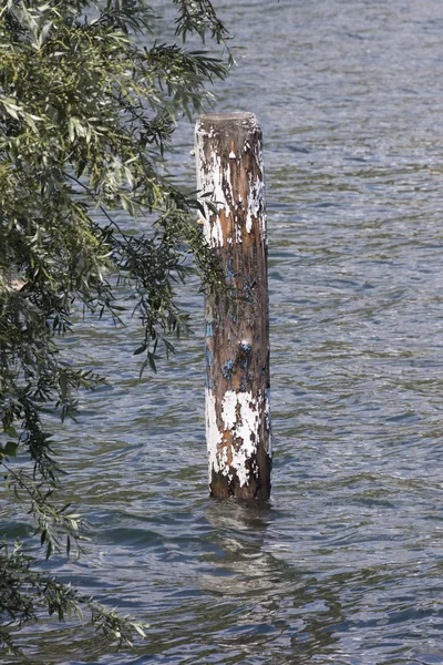 Blick auf den See — Stockfoto