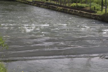 bir doğal nehir manzara