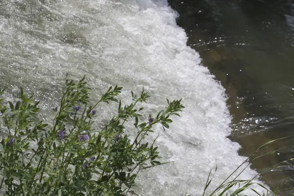 A scenic river landscape — Stock Photo, Image