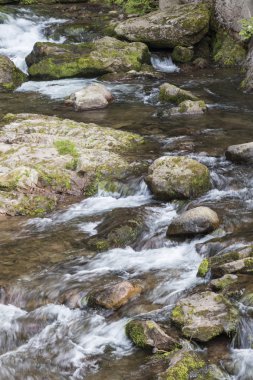 nehir ve kayalar manzara