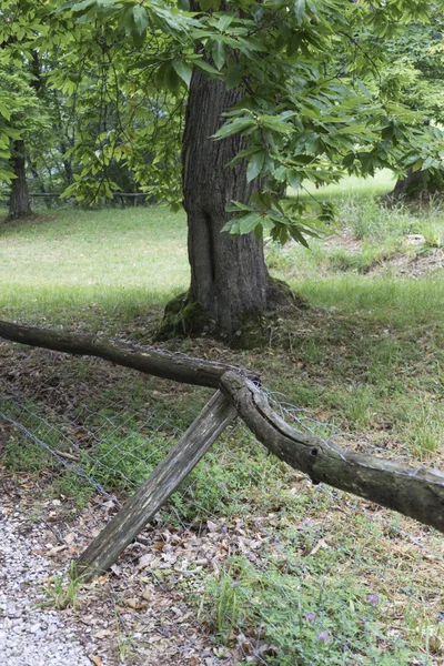 Staketet på den kuperade — Stockfoto