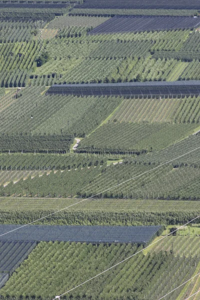 Luchtfoto van akkers en wijngaarden — Stockfoto