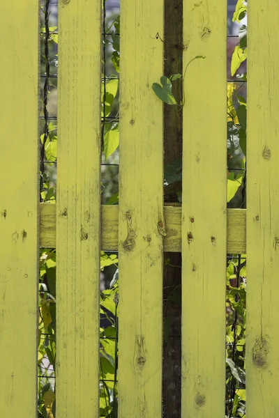 Κίτρινη φράχτη στο σπίτι — Φωτογραφία Αρχείου