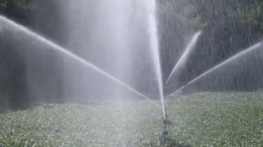 ekili alanların sulama