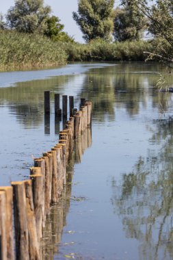 bir doğal nehir manzara