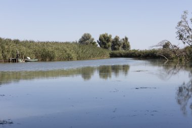 bir doğal nehir manzara