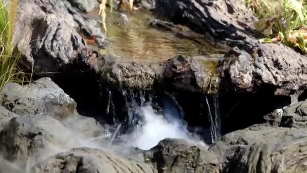 Fontana zampillante di fumo — Video Stock