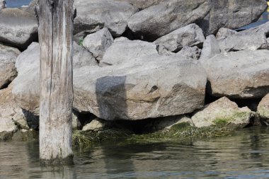 Gölde kayalık pier