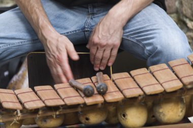 Drums και Percussions