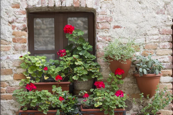 Çiçekli balkon — Stok fotoğraf