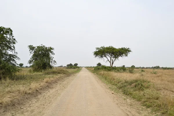 Camino en la sabana africana —  Fotos de Stock