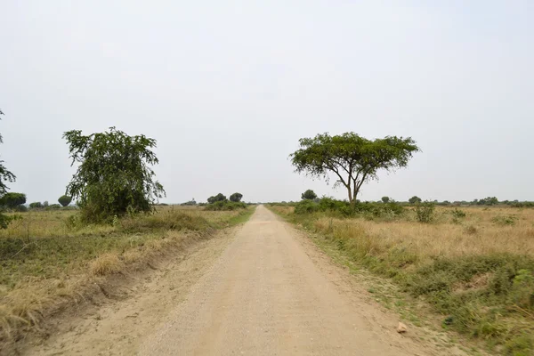 在非洲大草原的道路 — 图库照片