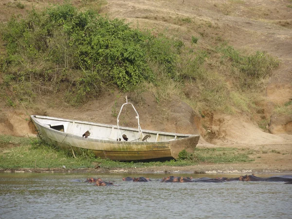 Boat on lake — Stock Photo, Image