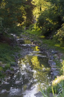 Akış üzerinde etkileri