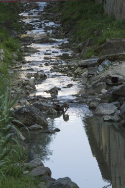 Akış üzerinde etkileri