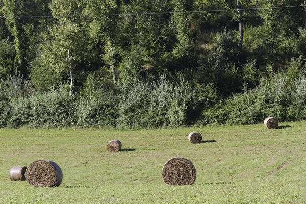 Kırsal kesimde saman — Stok fotoğraf