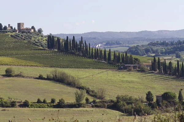 Hügelige Landschaft, Italien, Toskana — Stockfoto