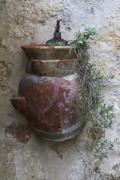 Vase sur le mur — Photo