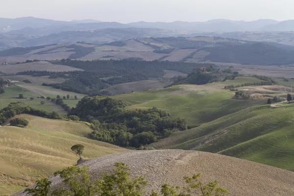 Hilly landscape — Stock Photo, Image