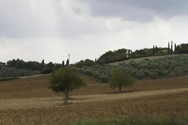 Paesaggio collinare — Foto Stock