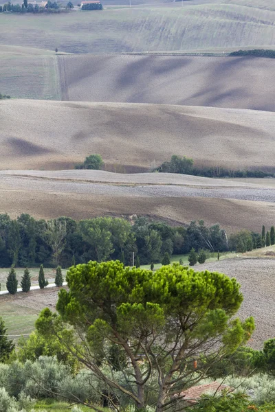 Peisaj deluros — Fotografie, imagine de stoc