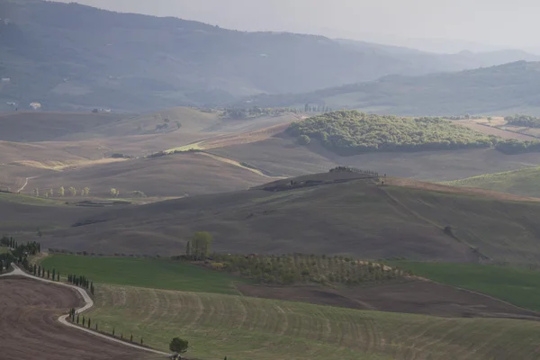 Heuvelachtig landschap — Stockfoto