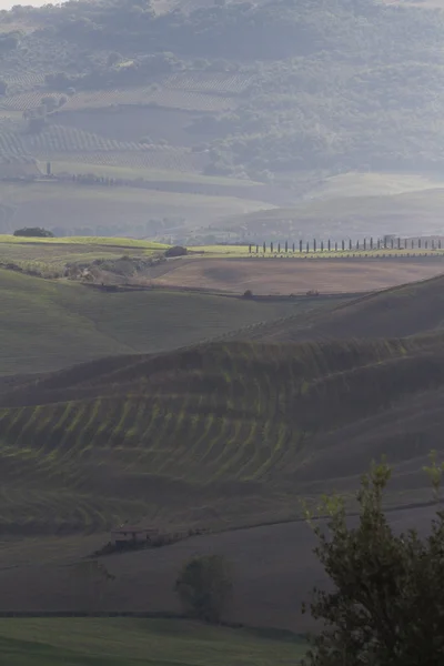 Paisagem montanhosa — Fotografia de Stock