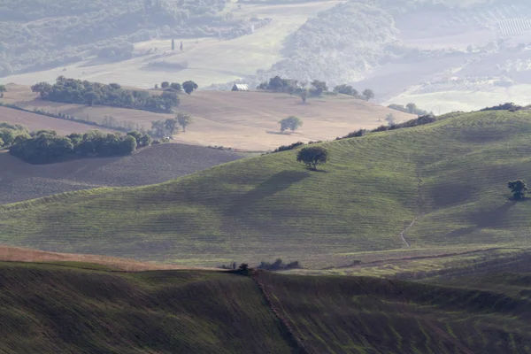 Hilly landscape — Zdjęcie stockowe