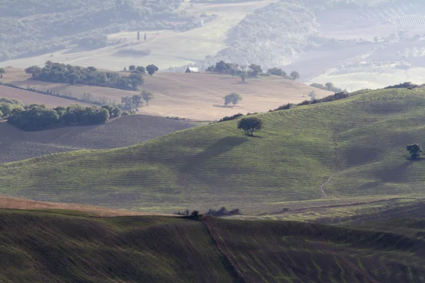 Heuvelachtig landschap — Stockfoto