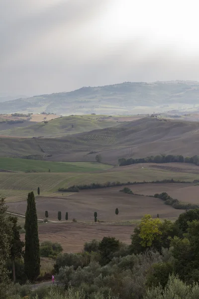 Heuvelachtig landschap — Stockfoto