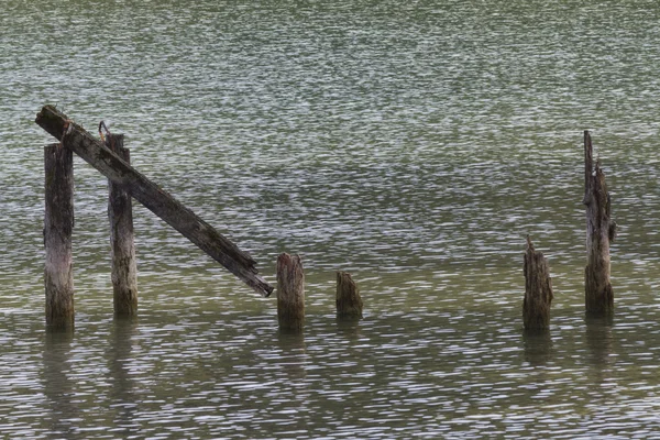 Landschaftssee — Stockfoto