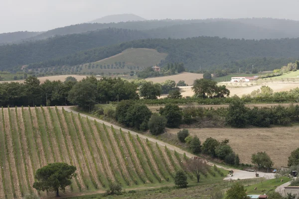 Paesaggio collinare — Foto Stock