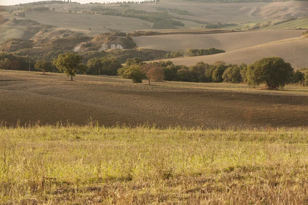 Heuvelachtig landschap — Stockfoto