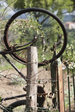 Çayırda eski bisiklet