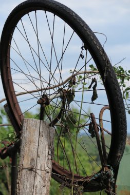 Çayırda eski bisiklet