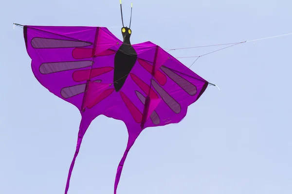 Kleurrijke vliegers vliegen in de lucht — Stockfoto