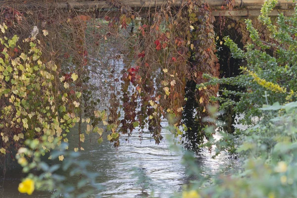 Riflessione dell'acqua sul fiume — Foto Stock