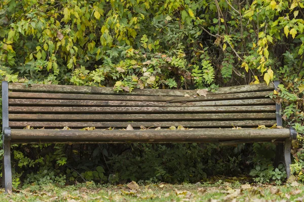 Banco en el parque — Foto de Stock