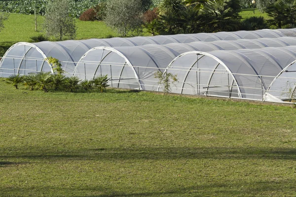 Greenhouse in the farm — Stock Photo, Image