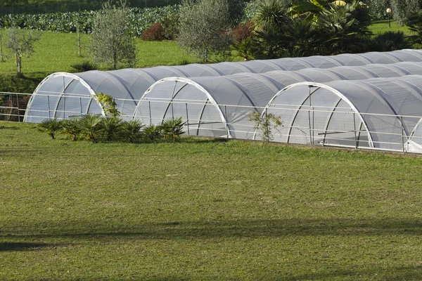 Greenhouse in the farm — Stock Photo, Image