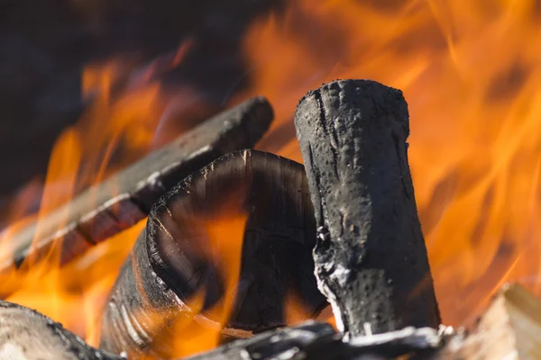 Eld i skogen — Stockfoto