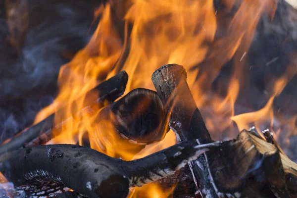 Fuego en el bosque —  Fotos de Stock