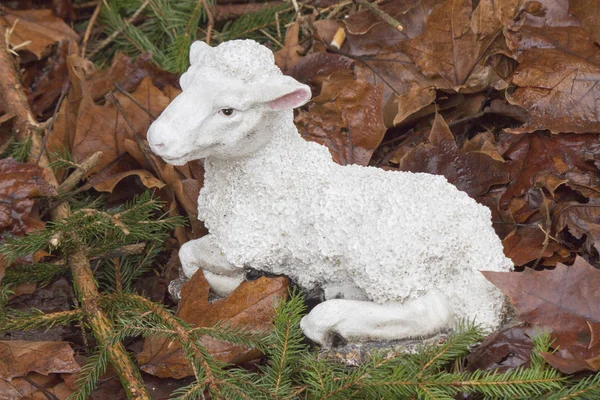 Lamb in the crib — Stock Photo, Image