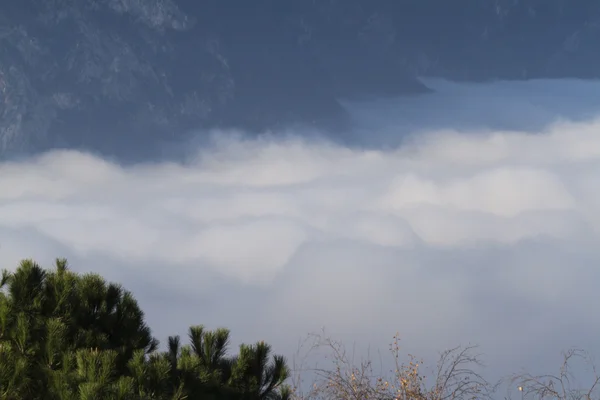 湖上的雾 — 图库照片