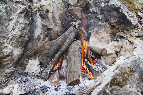 Incendio nella foresta — Foto Stock