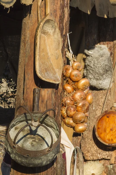 Cipolle appese nella capanna — Foto Stock